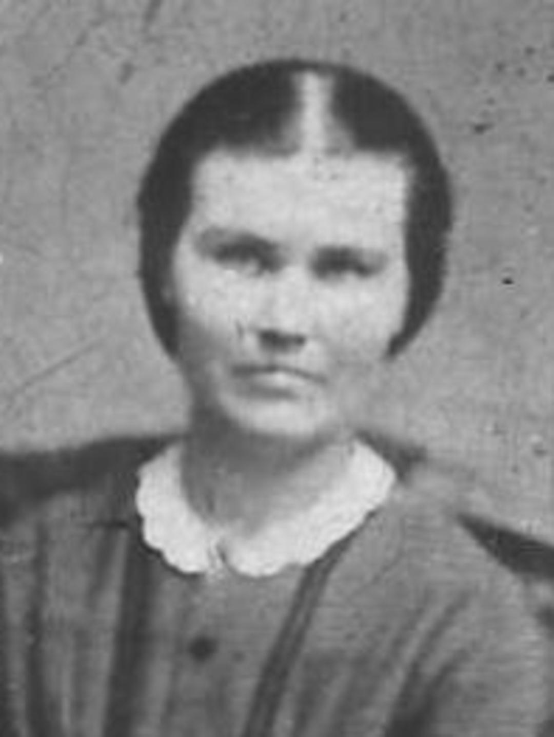 Anna Stratford (1843 - 1926) Profile
